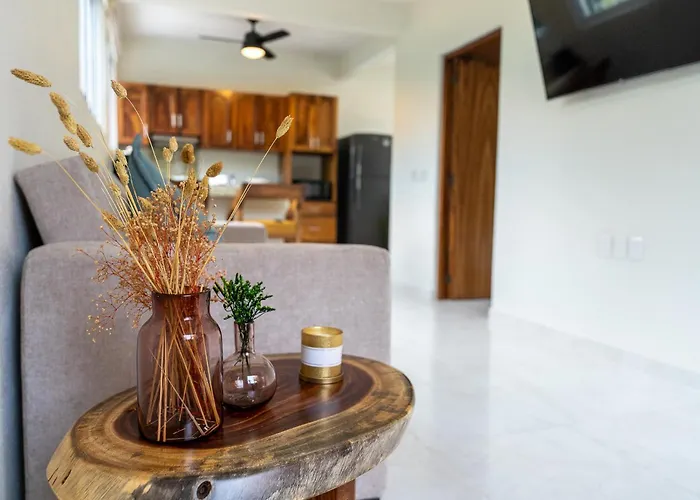 Eva - Apartamento Zihuatanejo